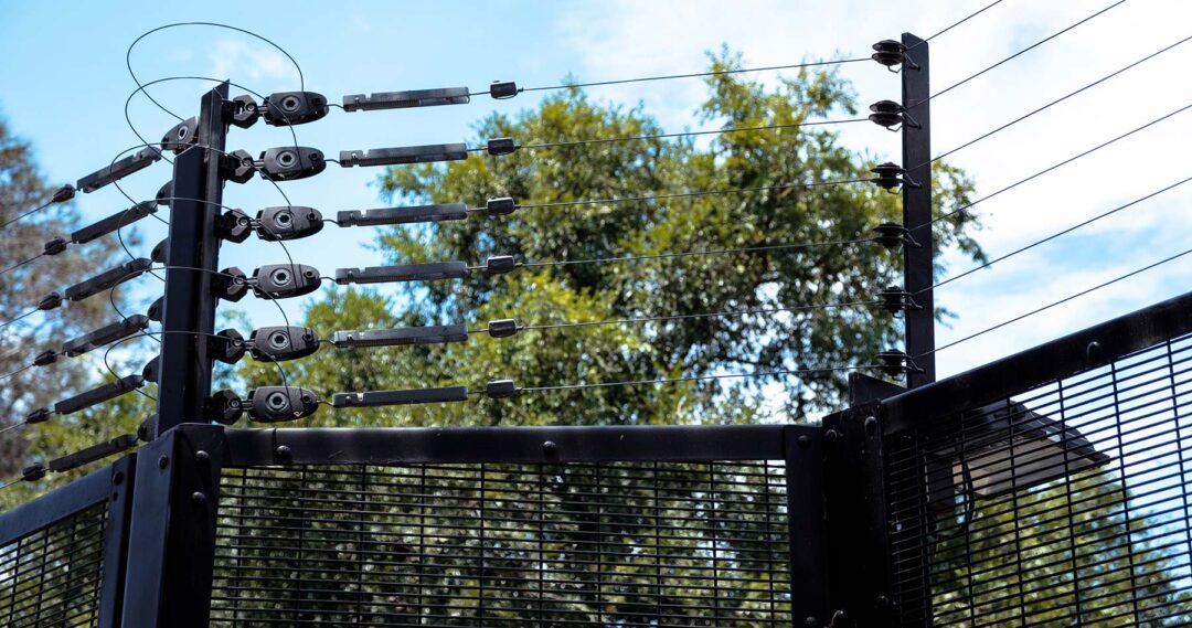Security Systems for Autocare