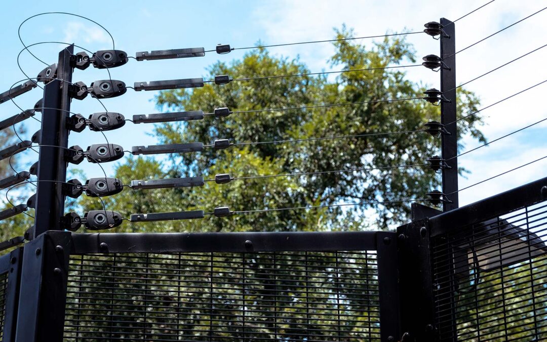 Security Systems for Autocare
